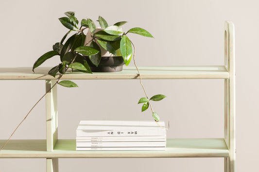 Bookcase Midi W120