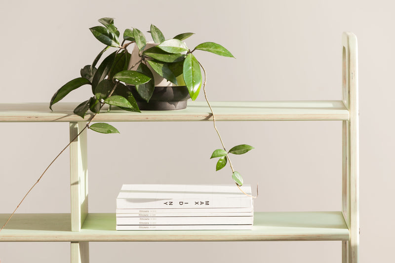 Bookcase Midi W120