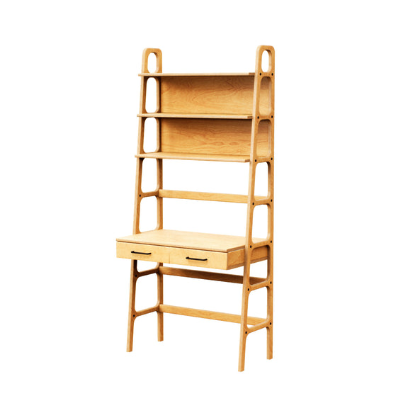 bookcase-with-desk-and-drawers-modern-design