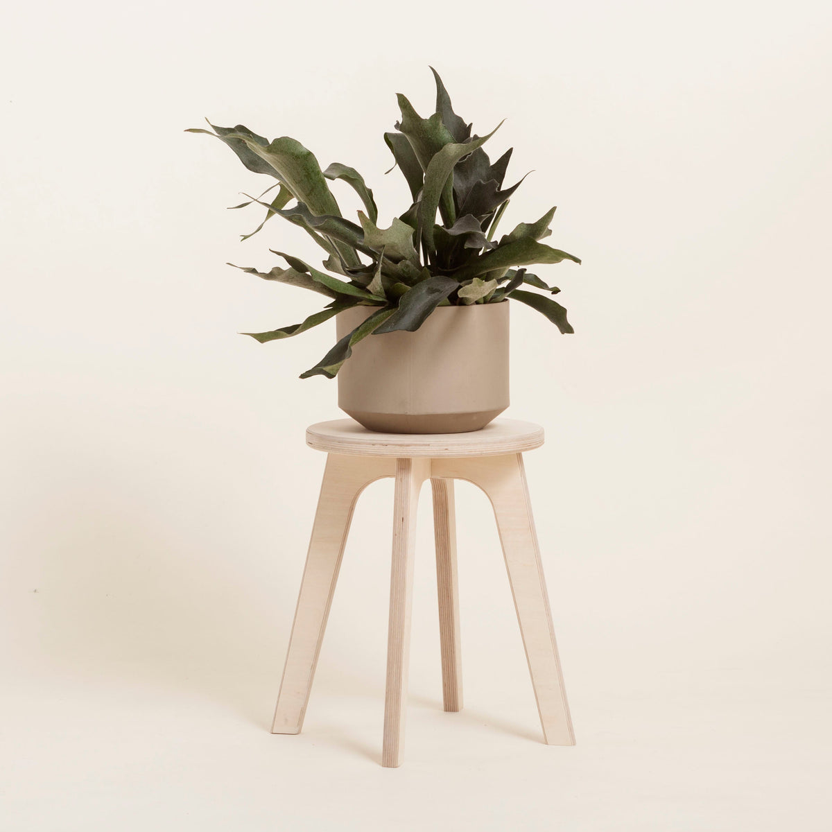 stool-for-plants-wooden-design